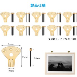 DFsucces Wall Hanging Hooks with Nails, Safe Load 66.1 lbs (30 kg), Rust Resistant, Works with Plasterboard, Wood Walls, Hanging Hardware for Frame Display, Multi-functional Hooks, Set of 10