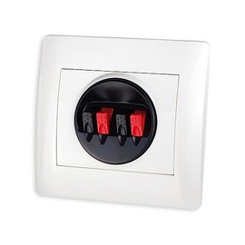 Loudspeaker Wall Terminal
