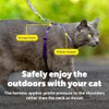 PetSafe Come with Me - Arnés de Gatito y Correa
