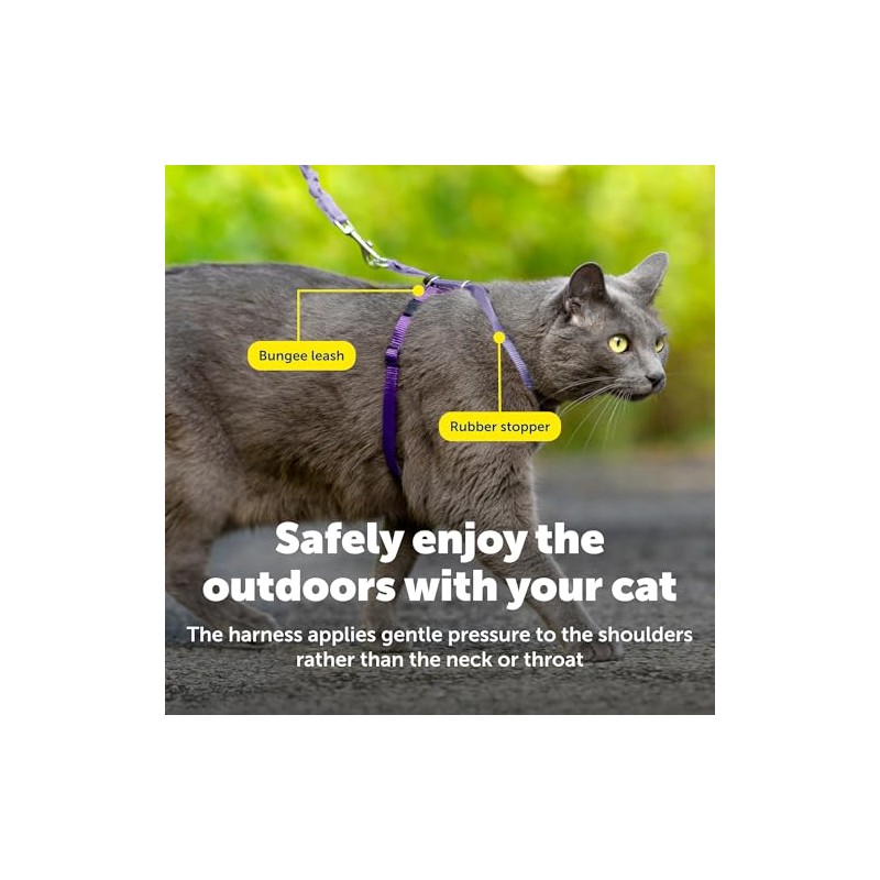 PetSafe Come with Me - Arnés de Gatito y Correa