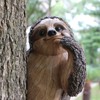 CHEOTIME Sloth Tree Hugger, Outdoor Tree Decorations Statue Hanging Outdoor