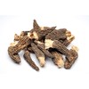 Slofoodgroup Dried Morel Mushrooms (Morchella Conica) Gourmet Morel Mushrooms (15
