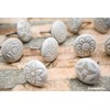 PUSHPACRAFTS 10 x Vintage White Cream Floral Ceramic Knobs