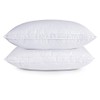 puredown Goose Feather Down Sleeping Pillow Soft Bed Pillow for Sleeping with 100% Cotton Shell Set of 2 King Size