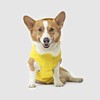 Canada Pooch Torrential Tracker Dog Rain Jacket - Easy On,