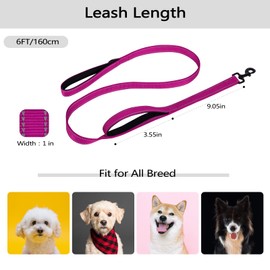 Aepeasti Dog Leash for Medium to Large Dogs with Two Padded Handles 5FT/6FT, Double Handle Dog Leash, Reflective Training Lead, Durable Traffic Leashes(6FT,Rose Red)