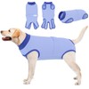 Queenmore Dog Surgical Recovery Suit Onesie, Recovery Suit for Dogs