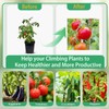Tomato Clips for Climbing Plants, 300 Pcs Reusable Plastic Tomato