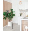 Modern White Plants Pot Cylinder Planter with Heavy Duty Stand,