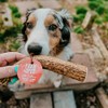 Farm To Pet, Whole Elk Antlers for Dogs - Long