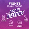 ARM & HAMMER Odor Blasters In-Wash Scent Booster, Laundry Scent