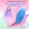 JIAMEISI Rainbow Ponytail Hair Extensions with Scrunchie, 26 Inches, 100