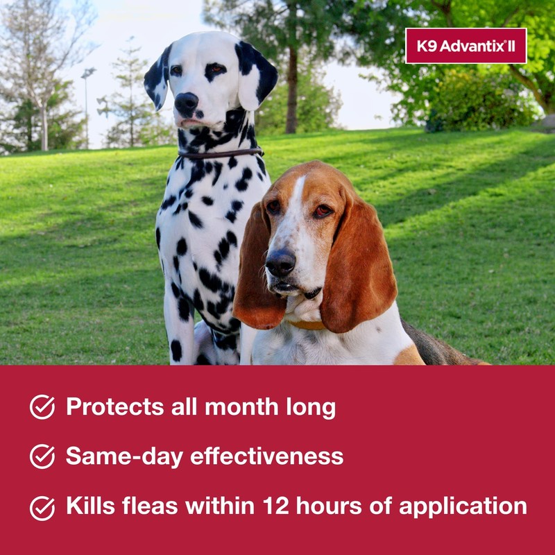 K9 Advantix II Medium Dog Vet-Recommended Flea, Tick & Mosquito