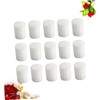 Abaodam 100PCS Hydroponic Sponge Seedling Grow Sponges for Soilless Vegetable