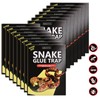 4 Pack 10" x 16" Large Snake Glue Traps with