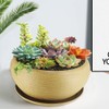 MUZHI 9.5” Round Large Ceramic Bonsai Bowl Planter，Clay Succulent Plant