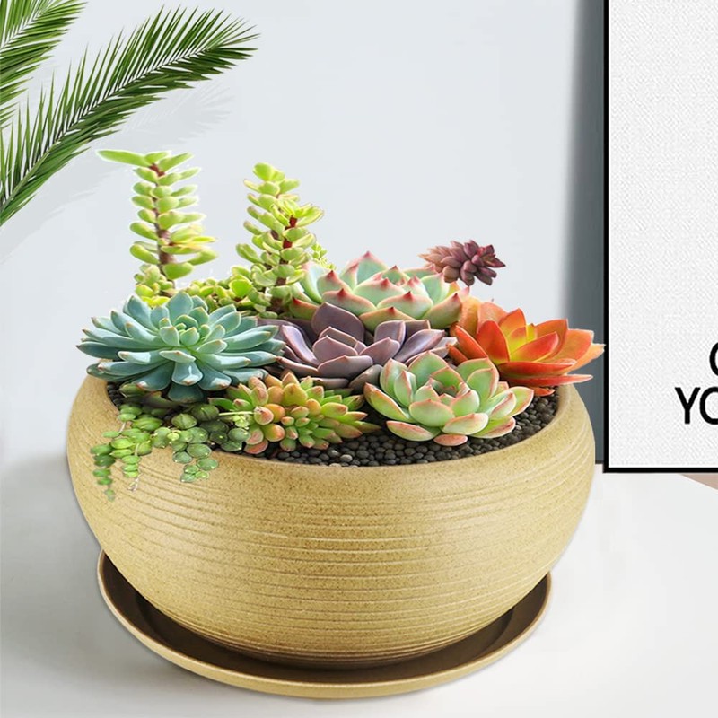MUZHI 9.5” Round Large Ceramic Bonsai Bowl Planter，Clay Succulent Plant
