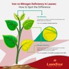 LawnStar Liquid Iron (32 OZ) for Plants - Multi-Purpose, Suitable