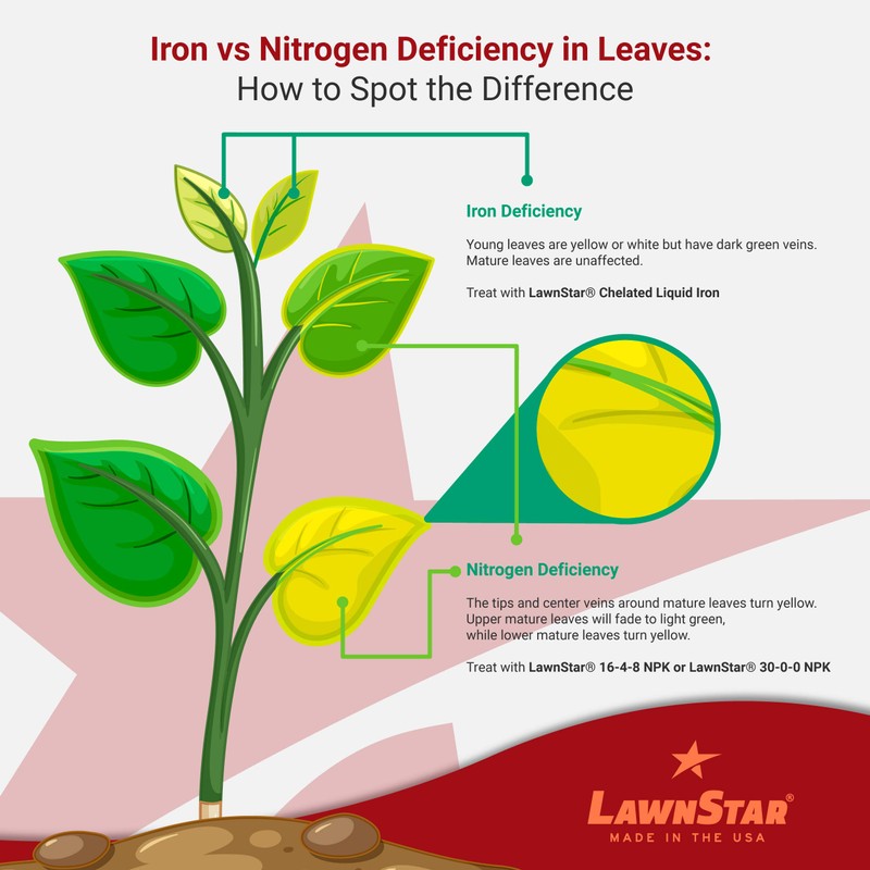 LawnStar Liquid Iron (32 OZ) for Plants - Multi-Purpose, Suitable
