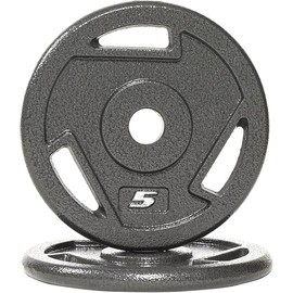 Fitvids Cast Iron 1-Inch Standard Weight Plate for Strength Training & Weightlifting, Multiple Weights Available, 5LB Pair
