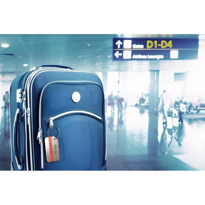 Dynotag Web Enabled Brushed Stainless Steel Smart Luggage ID Tag+