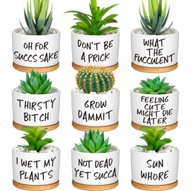 Domensi 9 Pcs Funny Succulent Pots Cute Aloe Cactus Planter with Bamboo Tray Ceramic Accessories White Mini Flower Drainage Tray Pots Indoor Outdoor Plants Birthday Gifts Housewarming Women Coworker