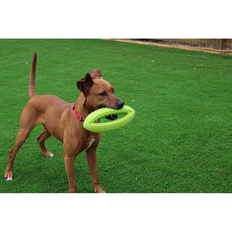 Happy Pet Grubber dog toy in rugby ball shape, jumping
