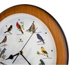 Lovely Collection 14-inch Plays 12 Popular North American Bird's Songs