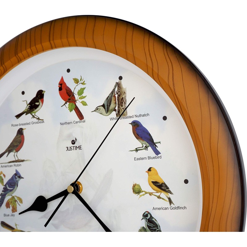 Lovely Collection 14-inch Plays 12 Popular North American Bird's Songs