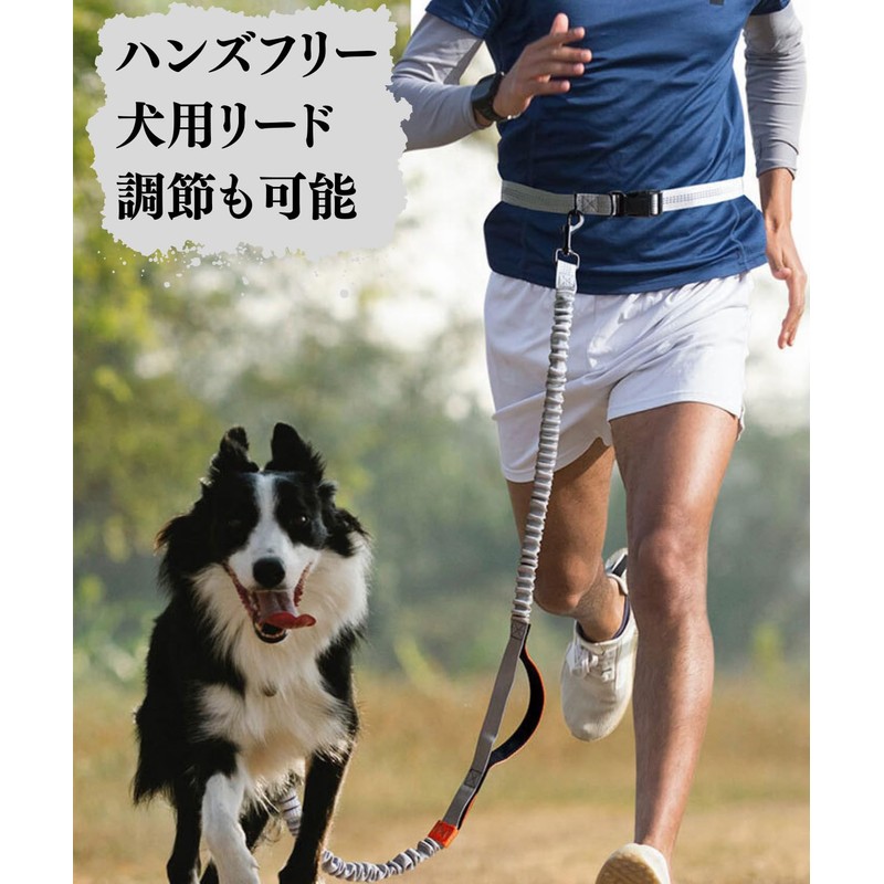 Hands-Free Dog Leash, Stretchable, For Medium Dogs, Large Dogs, Shoulder