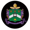 Delta Sigma Phi Fraternity LED Car Door Light- Set of