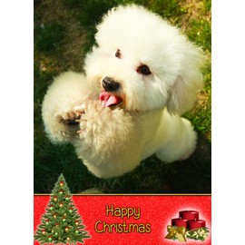 Poodle Dog Christmas Card 'Happy Christmas' - Special Animal Xmas Card for Him Her from Pets Kids