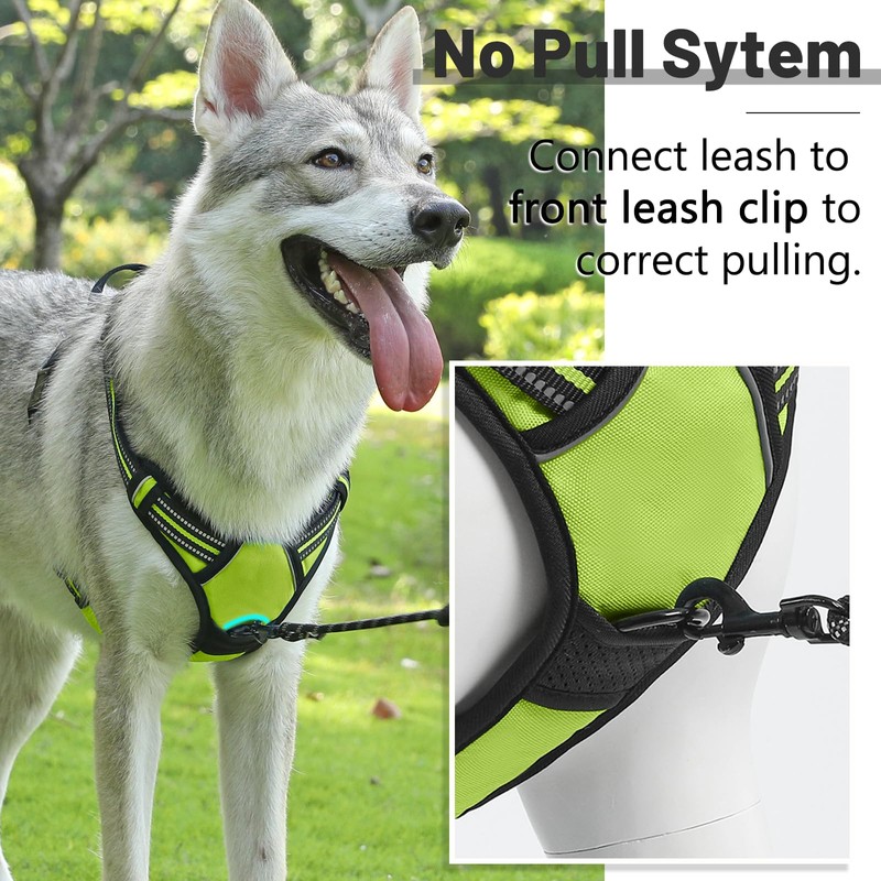 Belababy Medium Dog Harness - No Pull, Soft Padded with