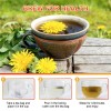 Beworths Natural Dandelion Root Tea Lung Cleansing Breathing Detox Liver