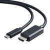 Sanwa Supply KC-ALCHD30K Type C-HDMI Converter Cable (Black, 9.8 ft