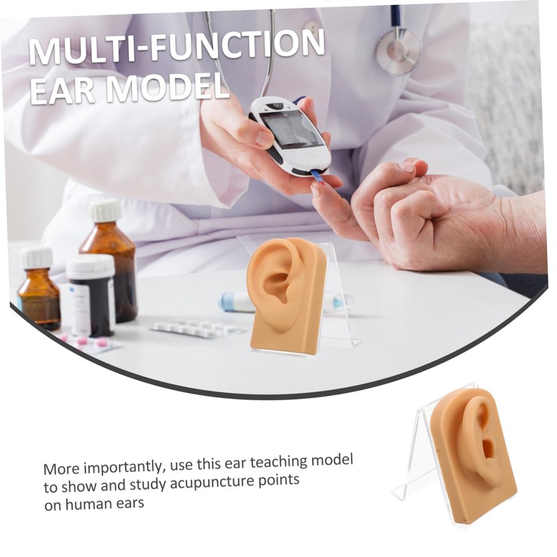 Baluue 3sets Decorative Ear Model for Jewelry Display Multi-function Earring