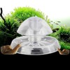 SUCHUANGUANG Clear Snail Trap Aquarium Fish for Planarian Catch Environment