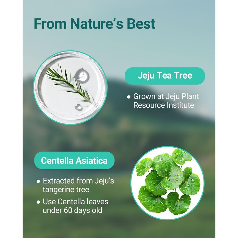 BRING GREEN TEA TREE CICA TRIAL KIT | Travel Size