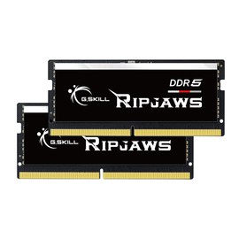 G.SKILL Ripjaws DDR5 SO-DIMM Series DDR5 RAM 64GB (2x32GB) 5600MT/s CL46-45-45-89 1.10V Unbuffered Non-ECC Notebook/Laptop Memory SO-DIMM (F5-5600S4645A32GX2-RS)