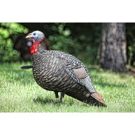AvianX Jake Quarter Strut Decoy, Camo