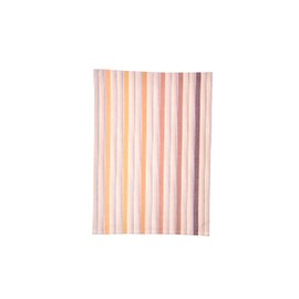 Solwang Tea Towels Set of 3 100% Cotton Terracotta Mix