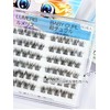 LUMERIS False Eyelash Parts, Natural, Easy Installation, 60 Bundles, Beginners,