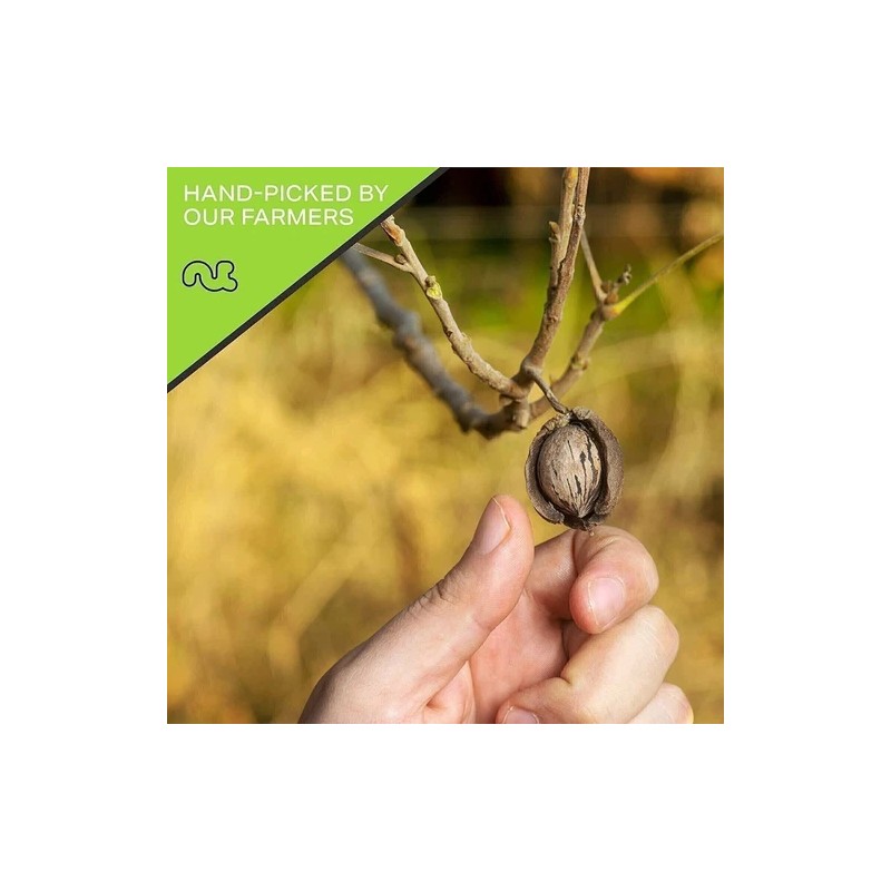 Nut Cravings Candied Pecans Honey Glazed Praline, No Shell, Premium