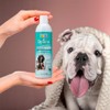 Fancy Pets Espuma P/BAÑO EN SECO Essentials 300 G