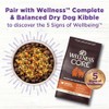 Wellness Bowl Boosters Digestive Health Dog Food Topper