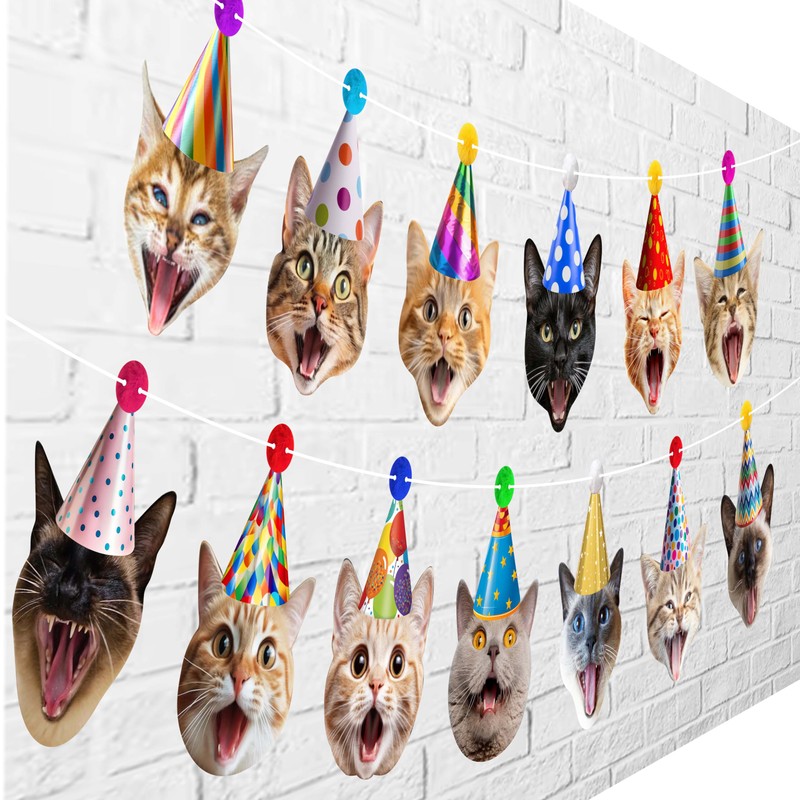 Cat Party Garland Cat Faces Birthday Garland Kitties Birthday Party