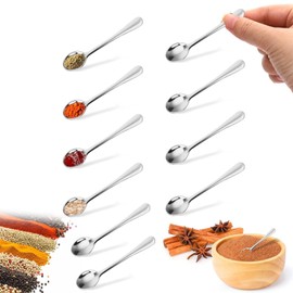 10 PCS Mini Spoon, Tiny Spoon, Tiny Stainless Steel Spoons, Cute Small Stainless Steel Spice for Spices, Salt, Fun Little Scoops (9.5 * 2.3cm)