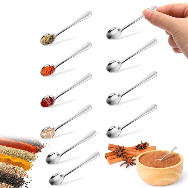 10 PCS Mini Spoon, Tiny Spoon, Tiny Stainless Steel Spoons,