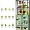 3-Tier Clear Hanging Window Plant Shelves 16In, Height Adjustable Acrylic