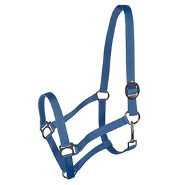 York Nylon Headcollar Headpiece Adjustable with Sliding Buckle Harmony Horse Halter (Pony, Blue)